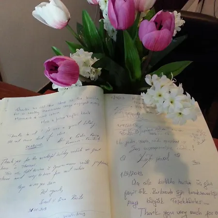 Korina Скала-Потамиас